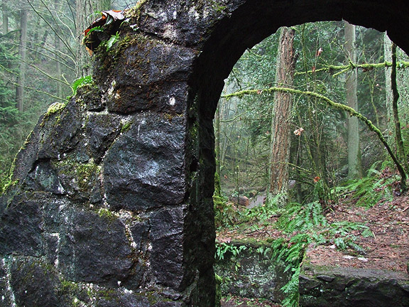 WinterWoods23