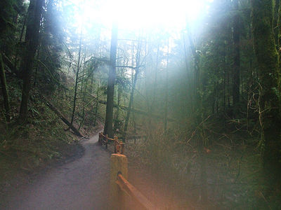 WinterWoods26