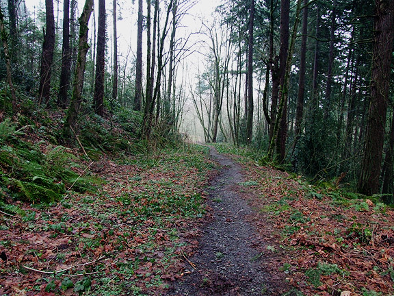 WinterWoods13