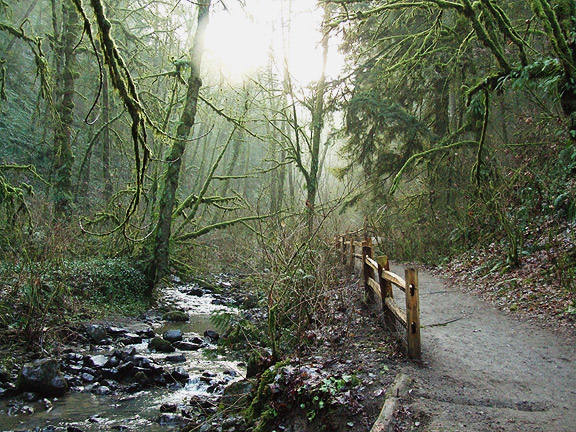 WinterWoods31