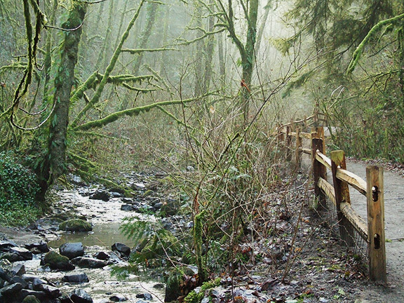WinterWoods32