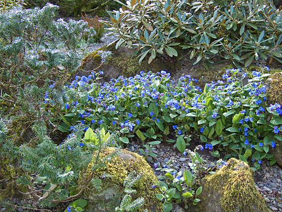 Bishops Close 002