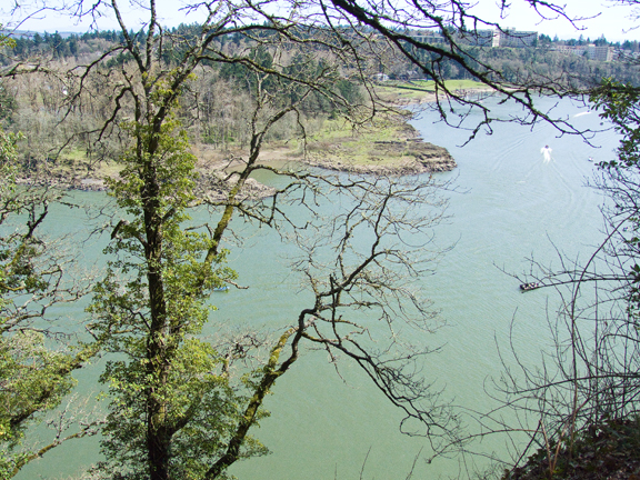 Bishops Close 005