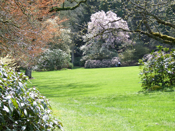 Bishops Close 017