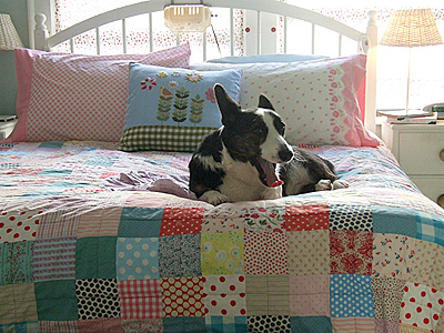 Quilt5