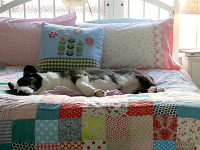 Quilt2