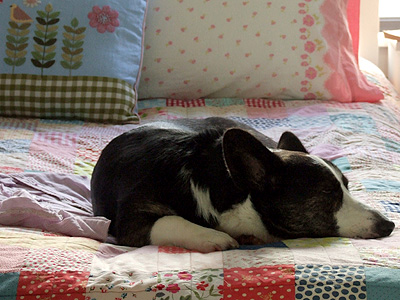 Quilt7