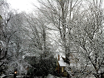 Snow14