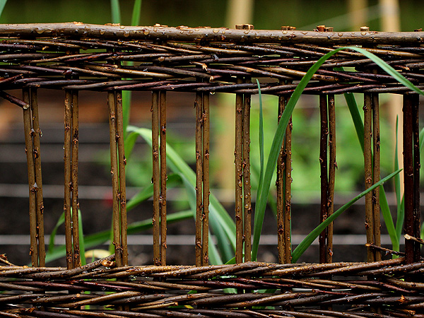 Garden9