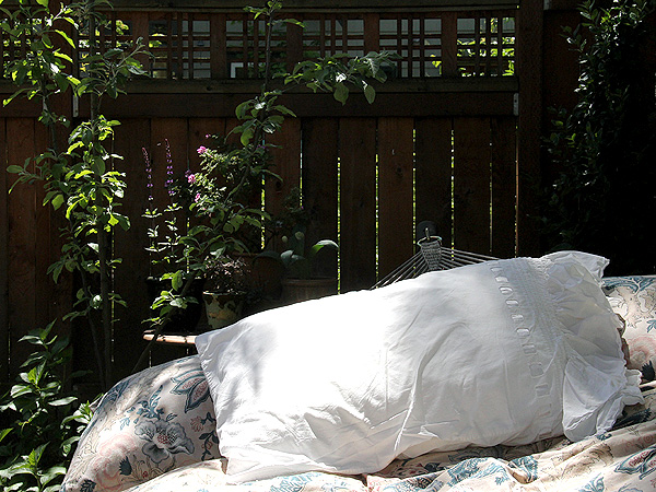 Hammock1