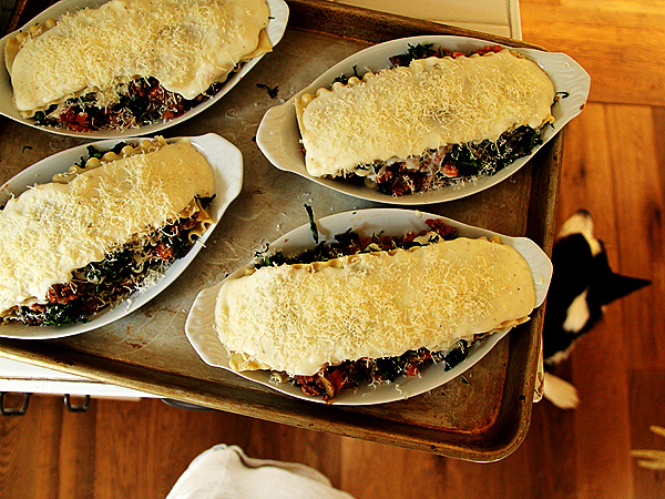 Lasagnas2