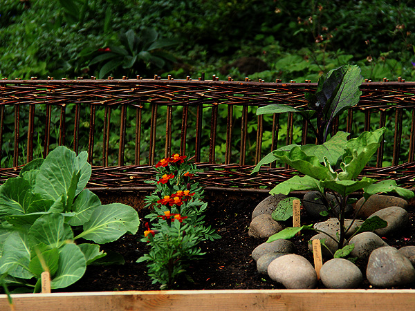 Garden6