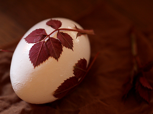 Egg2