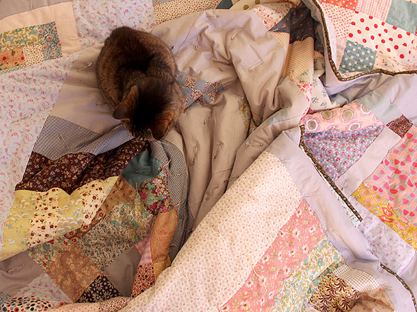 Kitters5 Kitters5