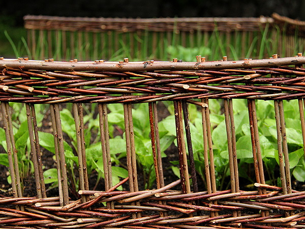 Garden5