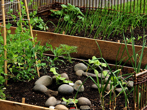 Garden12