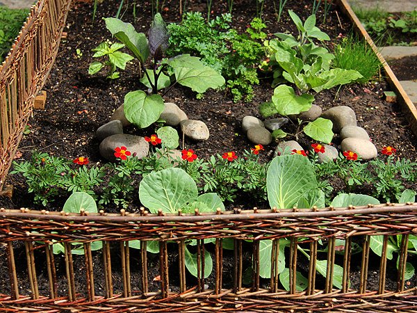 Garden4