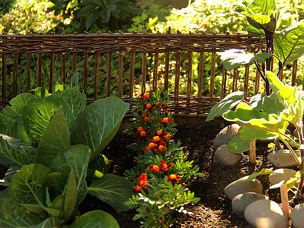Garden2