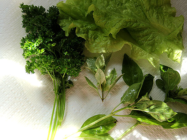 Green1