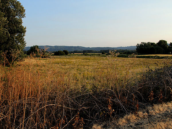 Sunset5