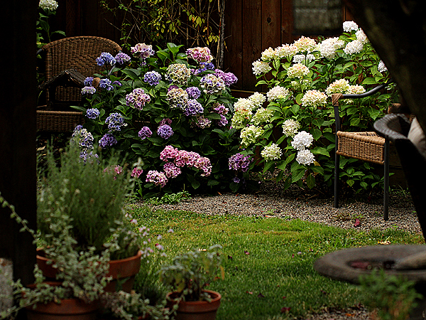 Yard2