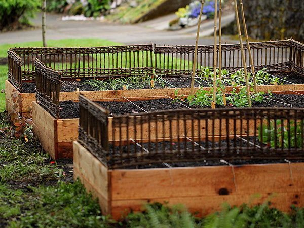 Garden2
