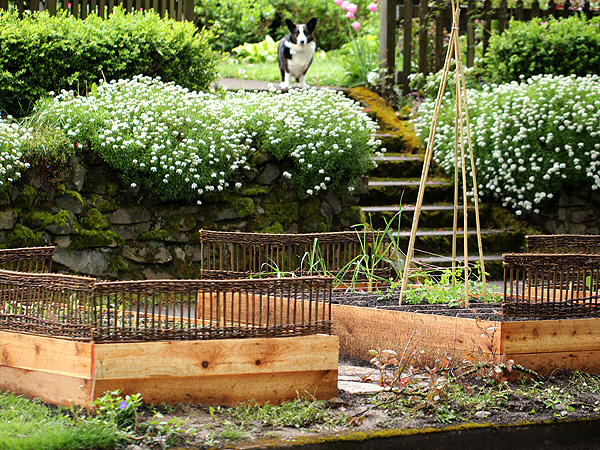 Garden5