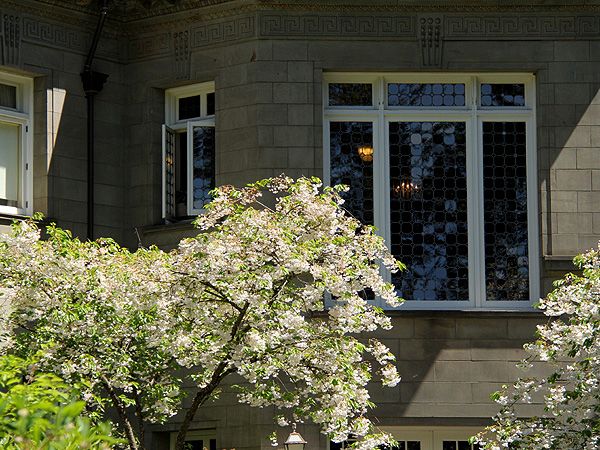 Pittock40