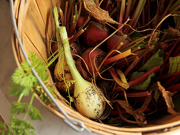 Harvest1 Harvest1
