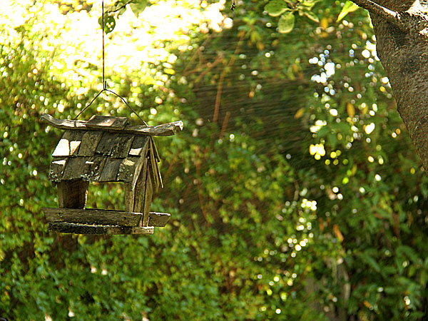 Birdhouse3