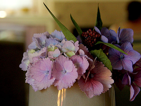Hydrangeas1