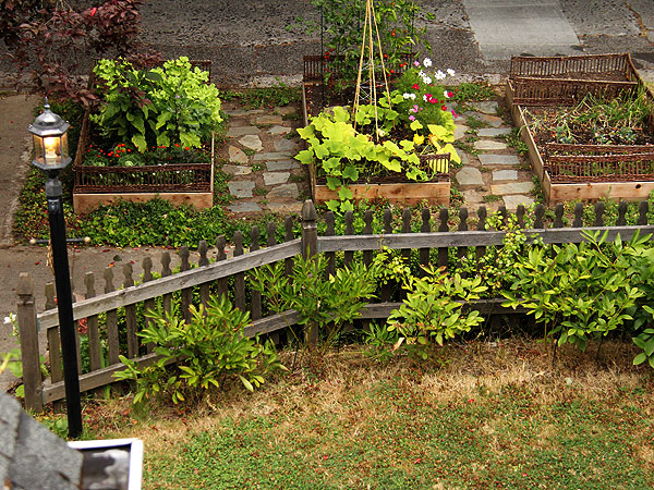 Garden1