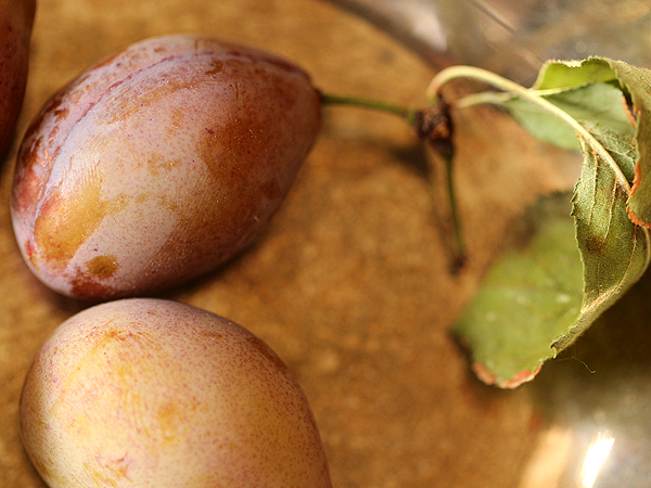 Plum4