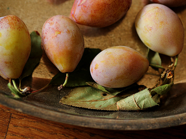 Plum6