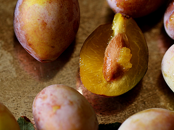 Plum1