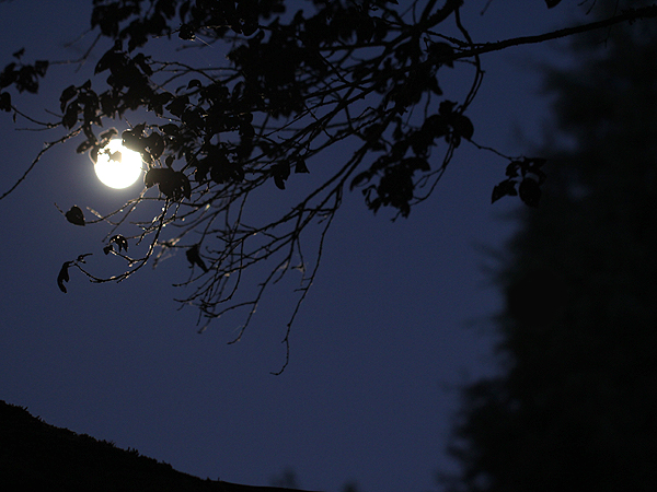 Moon1