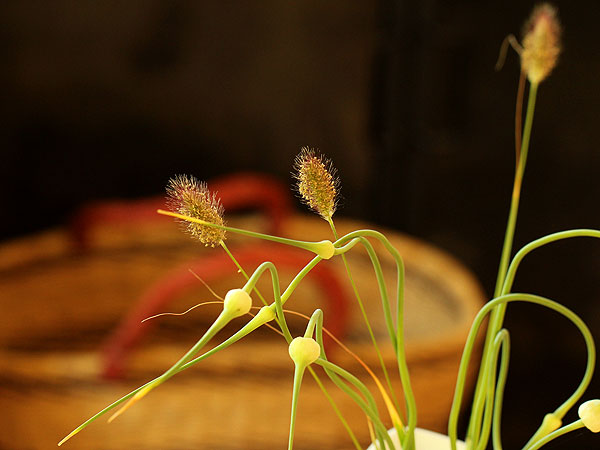 Grass2