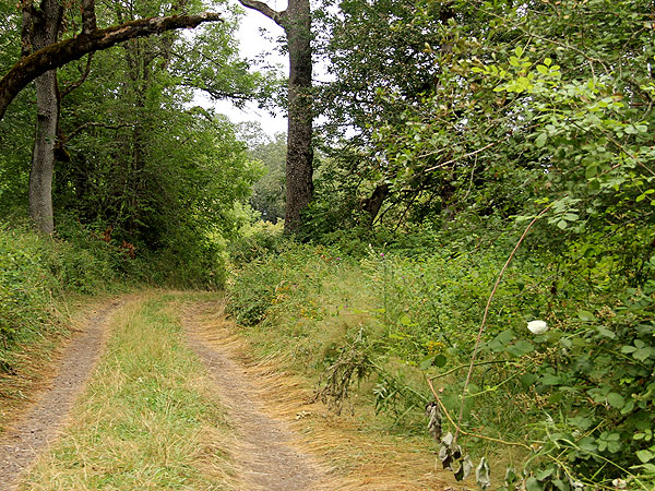 Walk3 Walk3