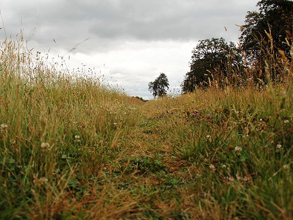 Walk32 Walk32
