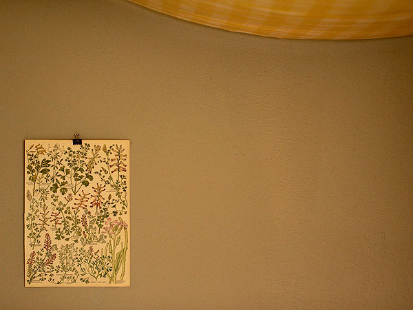 Botanical1