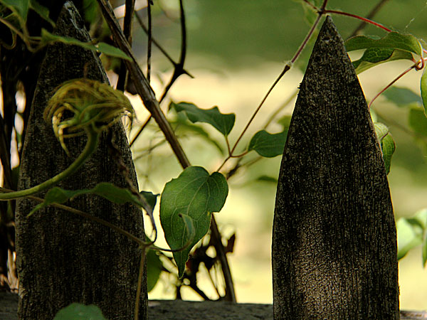Fence2