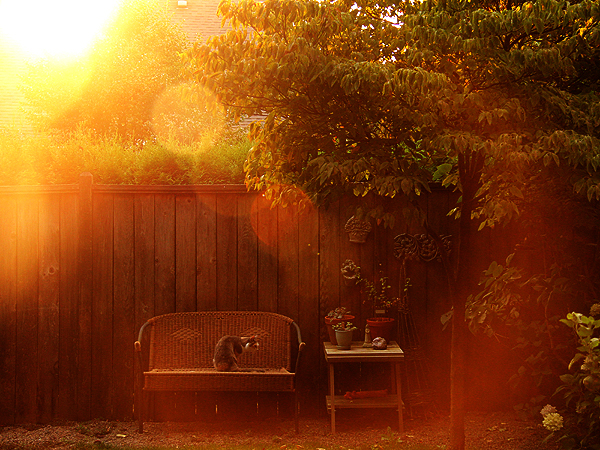 Morning1