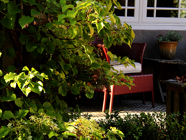 Chair1