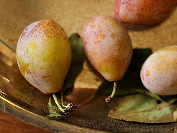 Plum5