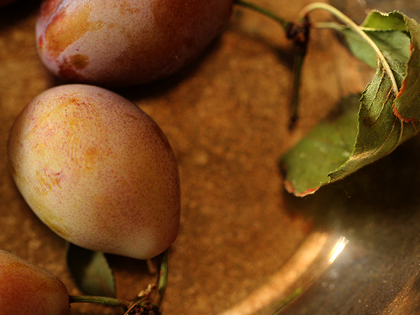 Plum2