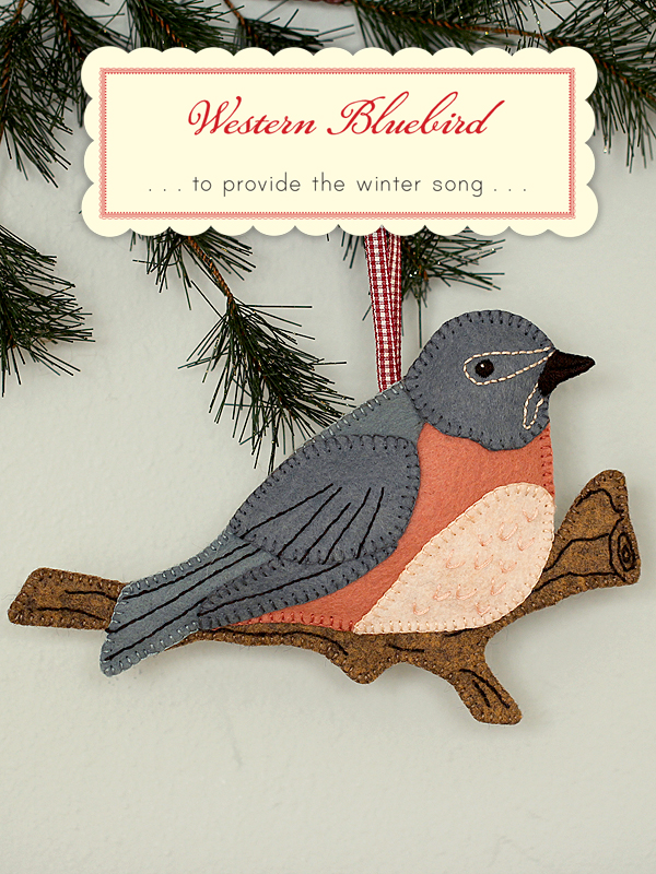 WesternBluebird1 WesternBluebird1