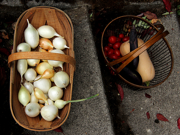 Harvest2