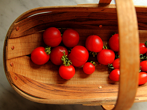 Tomatoes1