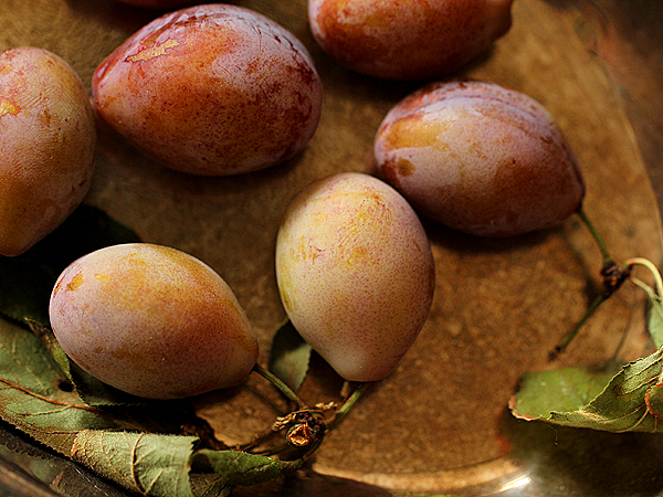 Plum3