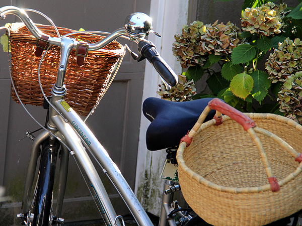 Bikey1